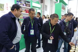 塔河縣攜特色電子產品亮相黑龍江綠博會與大米節，助力產業融合發展