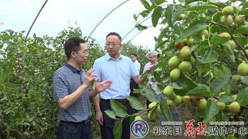 市林業局深入我縣開展林業工作調研 聚焦產業發展，助力林產品銷售升級