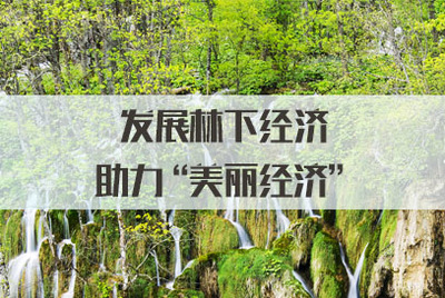 發展林下經濟，拓展銷售渠道，讓‘美麗經濟’更富生機